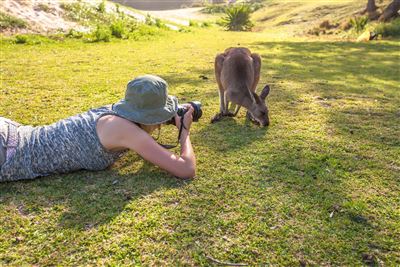 Ganz nah dran im Murramarang National Park
